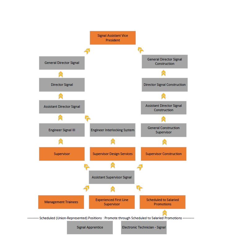 Finance careers path