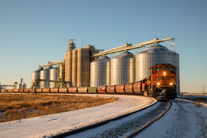 A BNSF grain train near the end of harvest season.