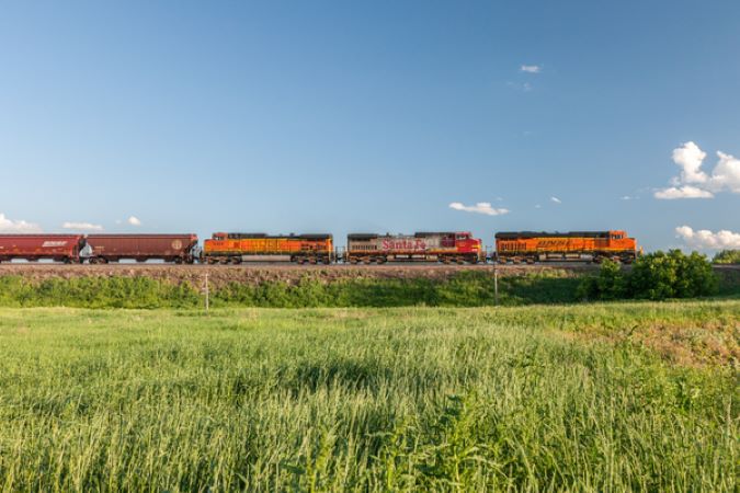 A BNSF train moves bulk sugar in covered hopper cars. 