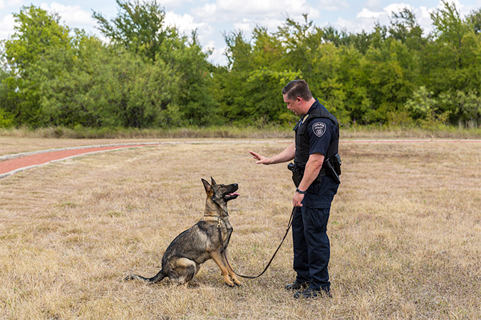 In a demonstration of her obedience training, Valet listens to instruction from Officer Allen to stay in positon.