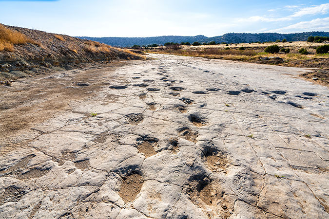 Dinosaur tracks can be found near La Junta. Dinosaur tracks can be found near La Junta.