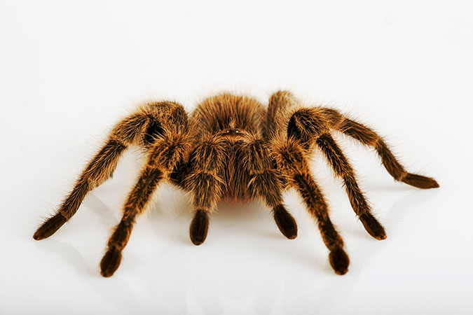 What visitors might encounter in La Ju What visitors might encounter in La Ju