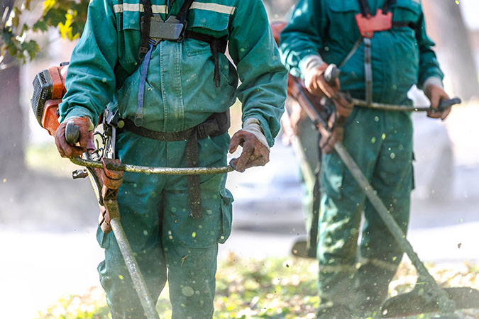 Weedwhackers are used to help clear vegetation Weedwhackers are used to help clear vegetation